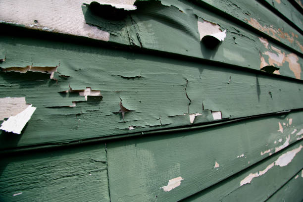 Best Siding Painting and Refinishing  in Standish, MI