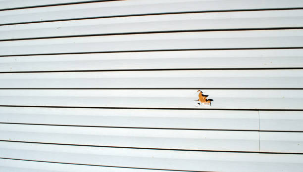 Best Engineered Wood Siding  in Standish, MI